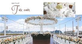 Tour du lịch Hạ Long trên du thuyền Paradise Delight